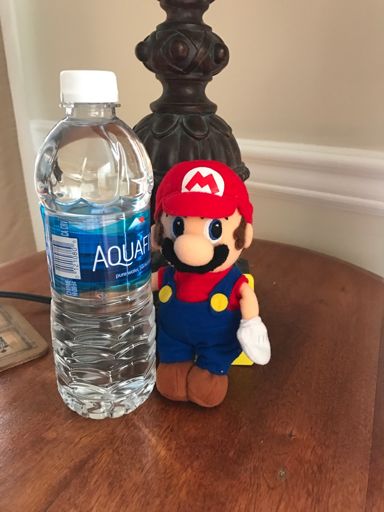 mario sunshine plush