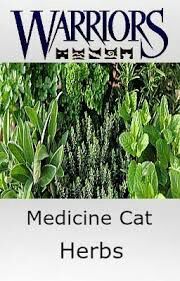 Med Cat Hand Book Herbs Wiki Warrior Cats Clans 6 Clans