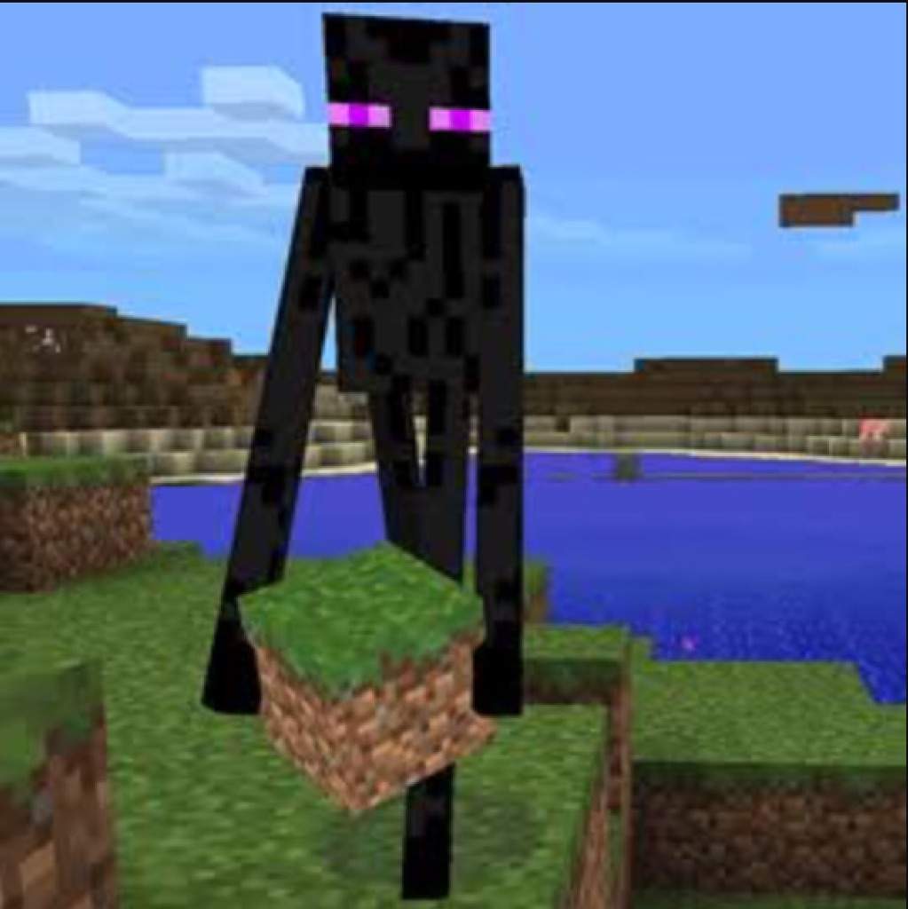 Informacion Sobre El Enderman Minecraft Amino Crafters Amino