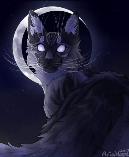 ☾moonwatcher☾ Wiki Warriors Amino