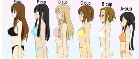 Cup Anime Amino