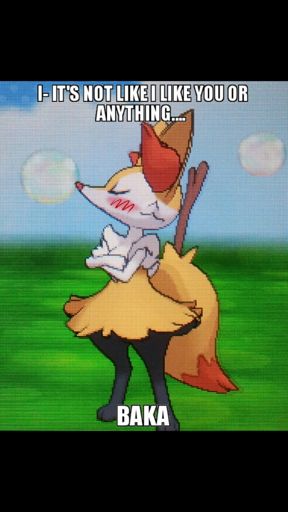 real life braixen