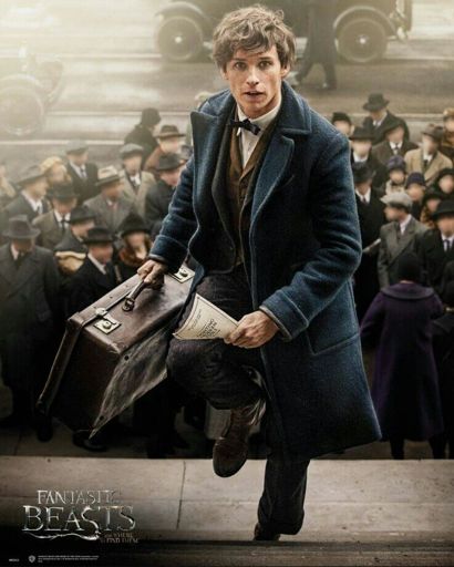 Newt Scamander Harry Potter Amino 6993