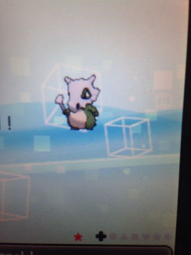 I Got A Shiny Cubone On Encounters Pok Mon Amino