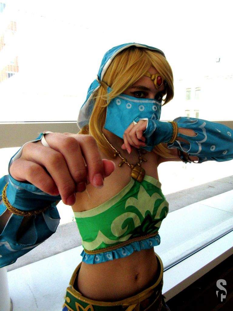 Legend Of Zelda Breath Of The Wild Hylian Vai Gerudo