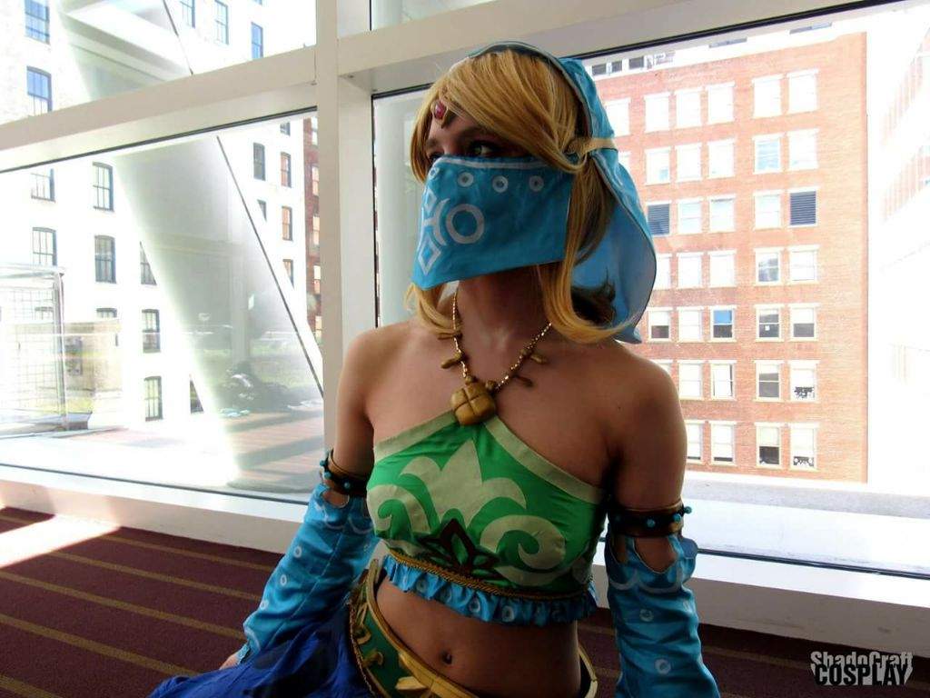 Legend Of Zelda Breath Of The Wild Hylian Vai Gerudo