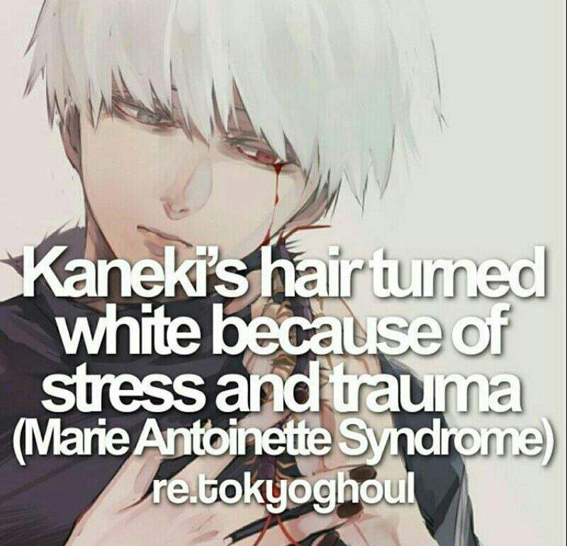 Anime Facts Anime Amino