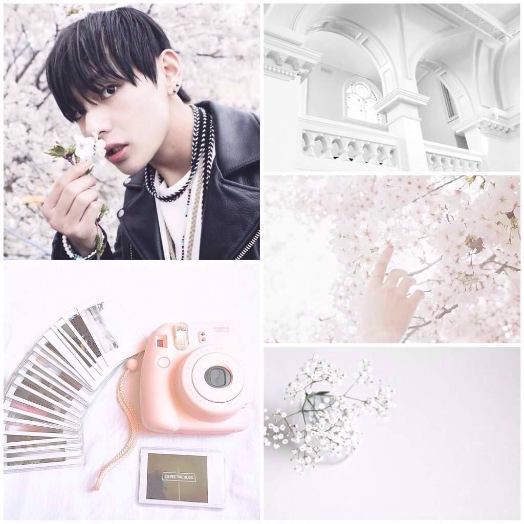 ~BTS WHITE AESTHETIC EDITS~ | ARMY's Amino