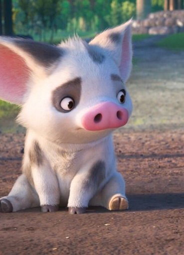 Pua | Wiki | Disney Amino
