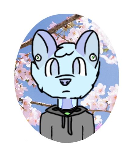 Jay | Wiki | Furry Amino