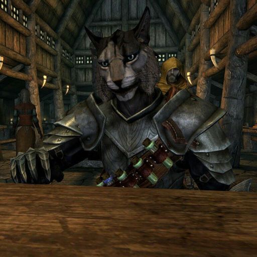 Kharjo Khajiit Video Games Amino