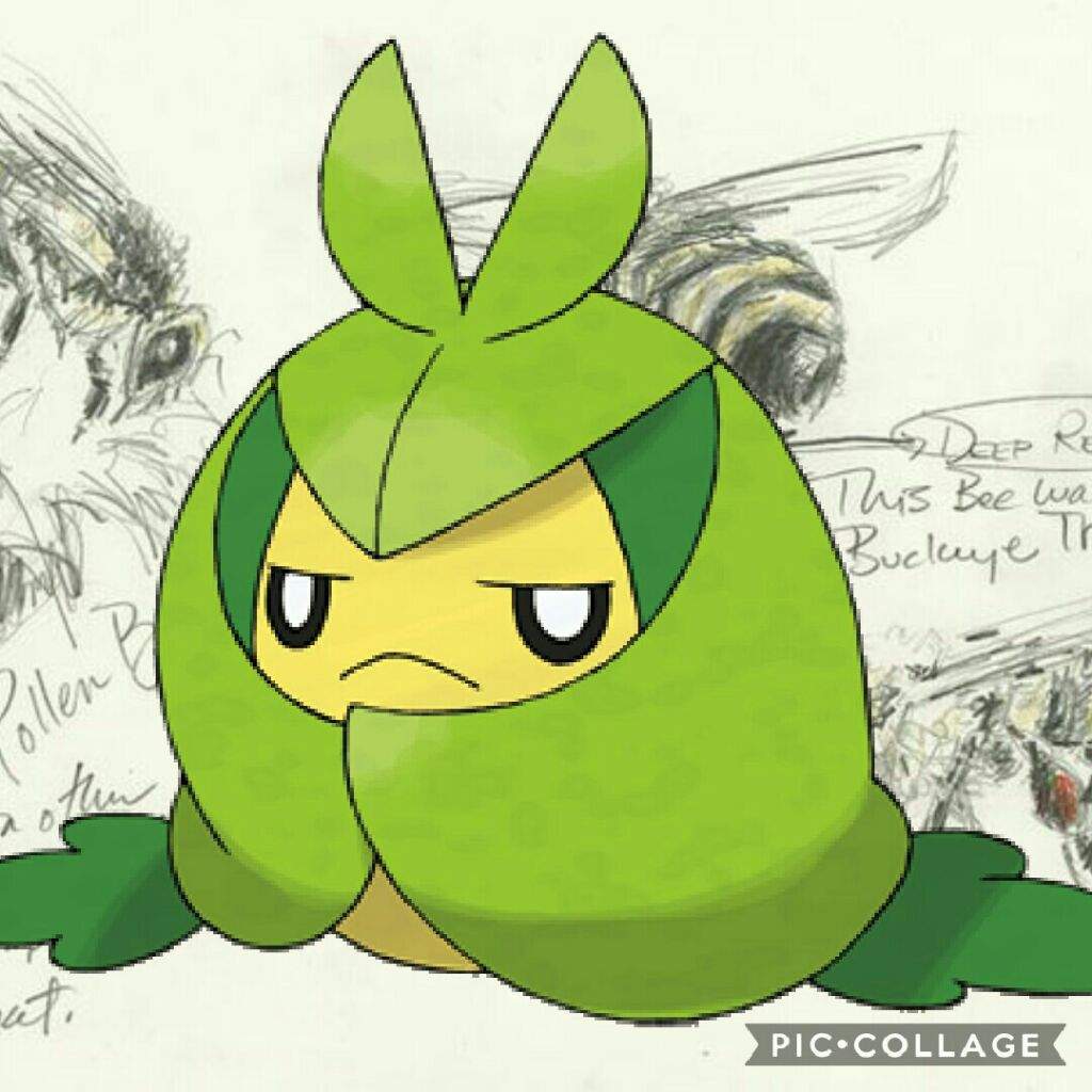 Design Analysis Sewaddle Line Pokémon Amino