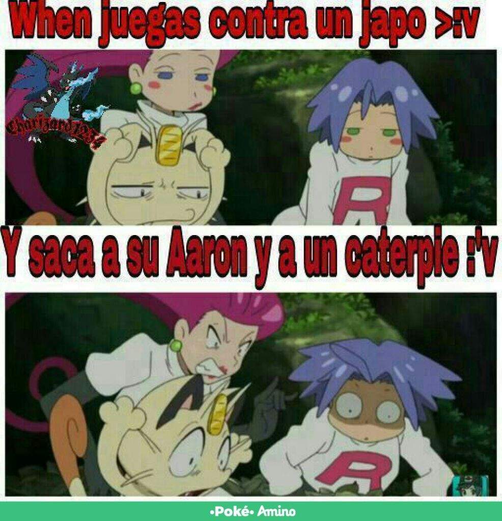 Memes Pokémon En Español Amino