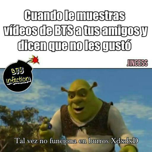 Talvez no funciona en burros v •Anime• Amino