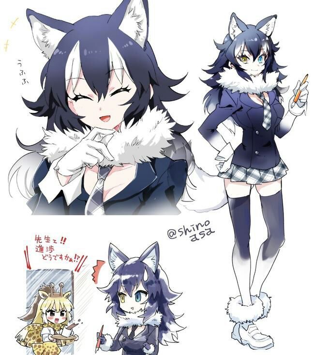 Gray Wolf Kemono Friends •Anime• Amino