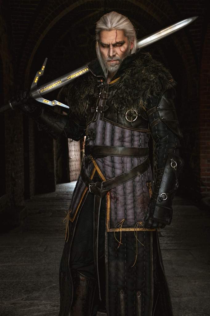 the witcher series characters