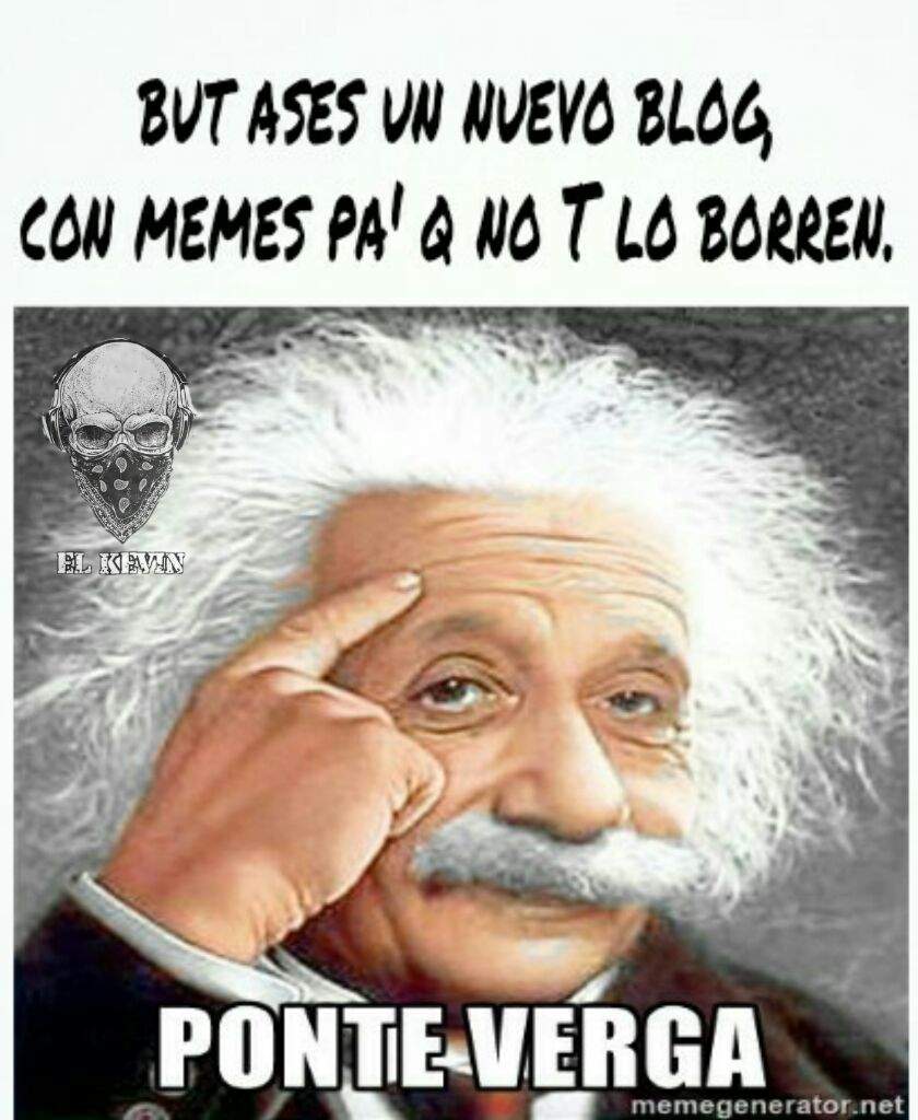 La Hura Troll SORPRESA Meme Amino