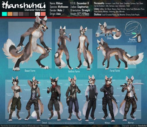 Rikkun Reference Sheet Furry Amino