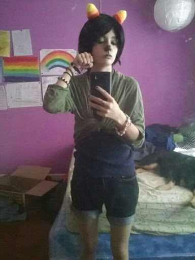 My Nepeta Leijon Cosplay Homestuck And Hiveswap Amino