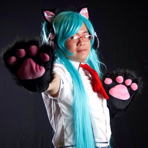 Hatsune Miku Nyanko Cosplay Amino 