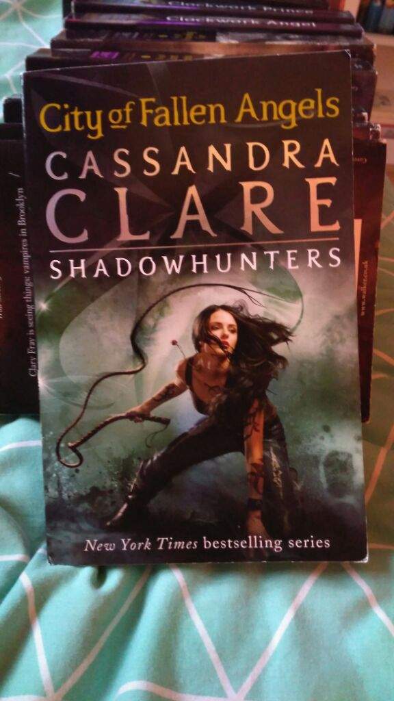 shadowhunters book 4