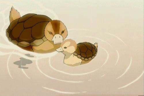 Turtle ducks  Wiki  Avatar Amino