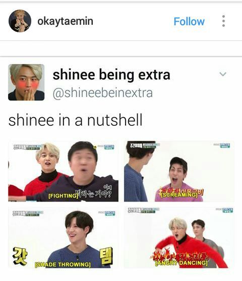 Shinee Memes Kpop Amemeo Amino