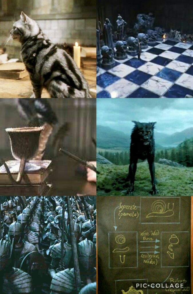 Collages on Hogwarts Subjects Harry Potter Amino