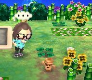 Teoría Giroides en Animal Crossing Nintendo Amino