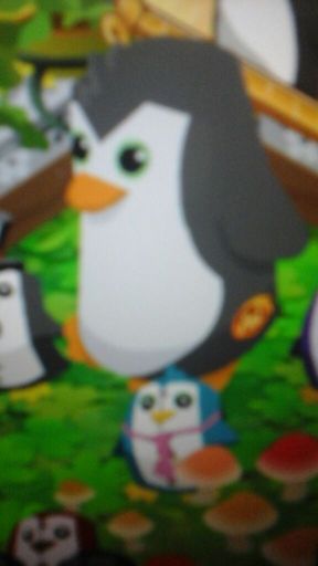 animal jam penguin plushie