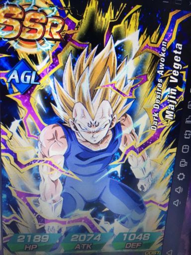 vegeta lr phy