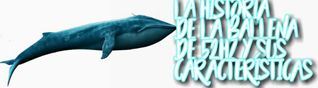 『I'm A Whale / Whalien 52 🐳』 By:『TaeConSuga』 | ARMY's Amino Amino