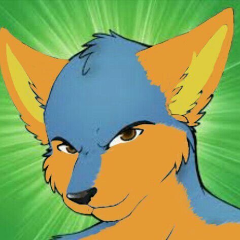 slick the fox