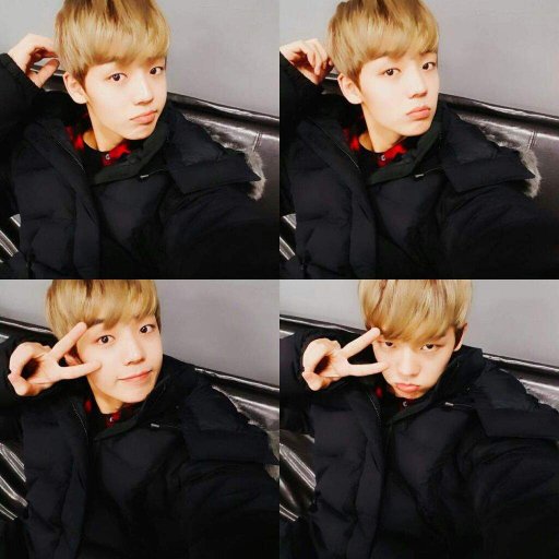 kang yoochan wiki a c e amino kang yoochan wiki a c e amino