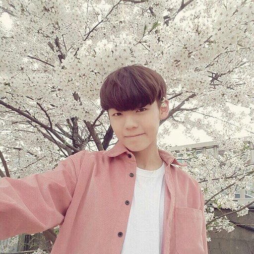 kang yoochan wiki a c e amino kang yoochan wiki a c e amino