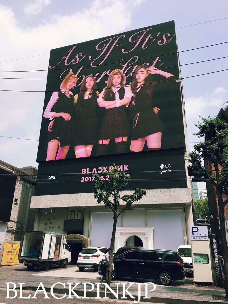 blackpink shop born pink blackpink shop born pink