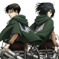 Is Levi and Mikasa related? Attack On Amino