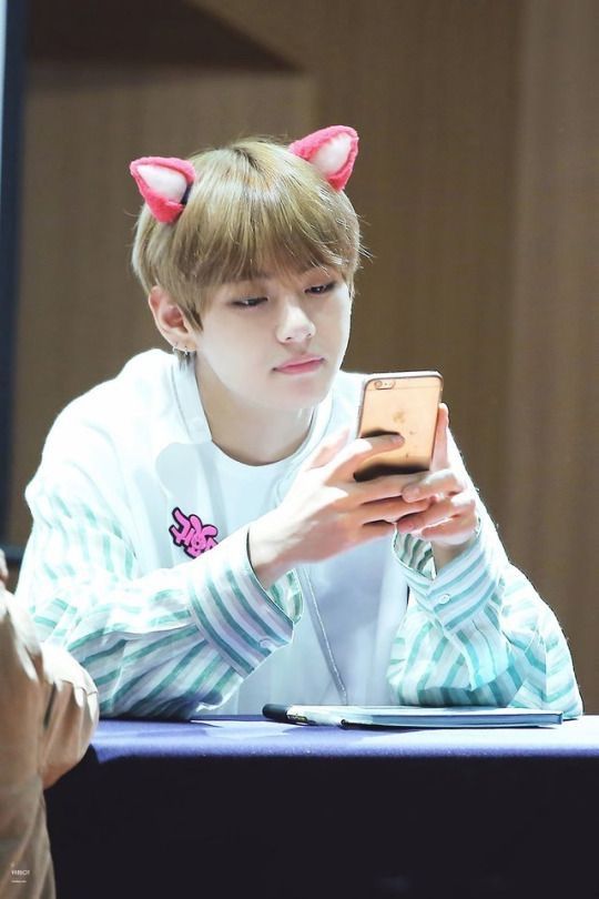 taehyung stuffed animal