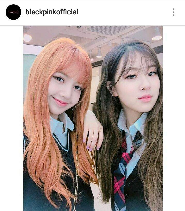 BLACKPINK INSTAGRAM UPDATE | BLINK ( 블링크 ) Amino