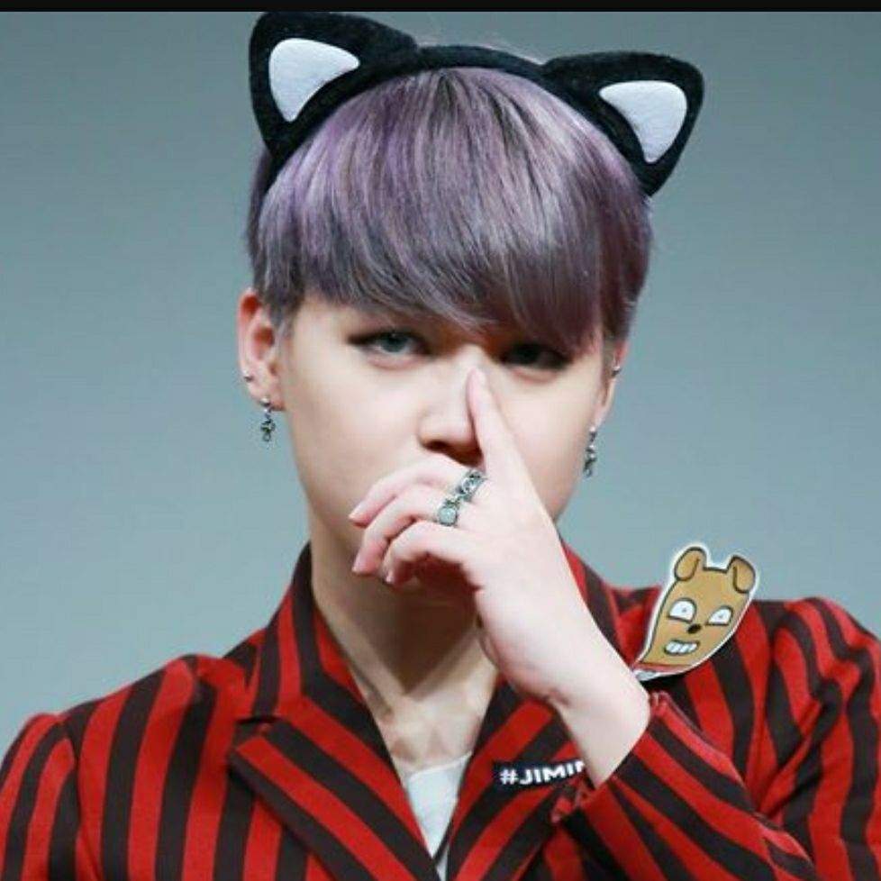 💖💗💕💓💘BTS WITH CAT EARS💘💓💕💗💖 | ARMY's Amino