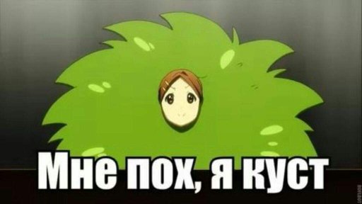 ff7df251c073cb7c6ada4eefdc75a0756be7927e