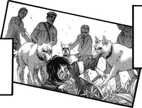 Featured image of post Miche Death Attack On Titan Reddit 10 deaths that affected levi
