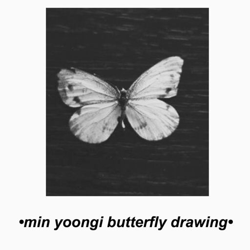 •Min Yoongi Butterfly Drawing• | K-Pop Amino