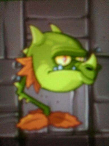 Snapdragon Wiki Pvz Universe Amino Amino