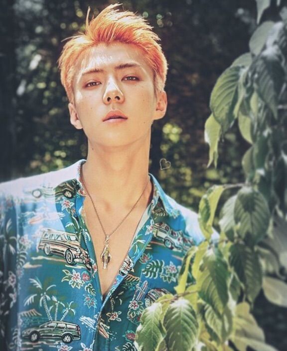 SEHUN KoKoBop Teaser Images Forever 12 엑소 Amino