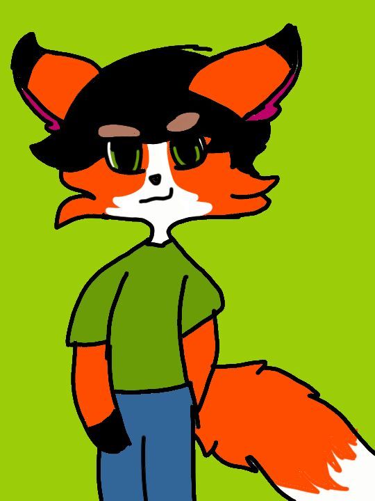 Andrew fox Wiki Furry Español Amino