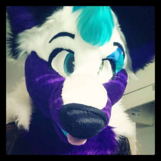 Arctica (Arti) | Wiki | Furry Amino