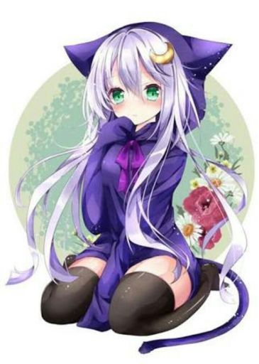 My new pfp || neko (meow~) | Anime Amino