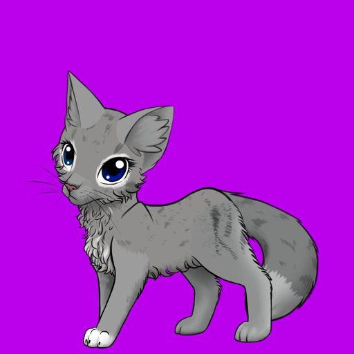 warrior cats willowkit