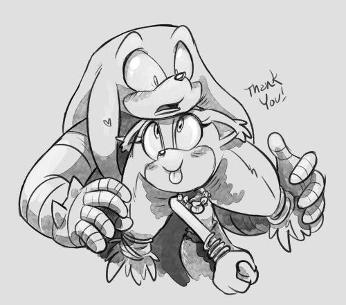 Sticks X Knuckles Sonic The Hedgehog Amino